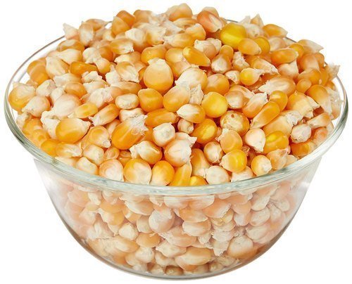 Nigerian Yellow Stone-Free Corn for Pap (Ogi/Akamu)